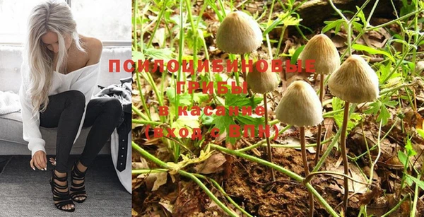 стафф Протвино