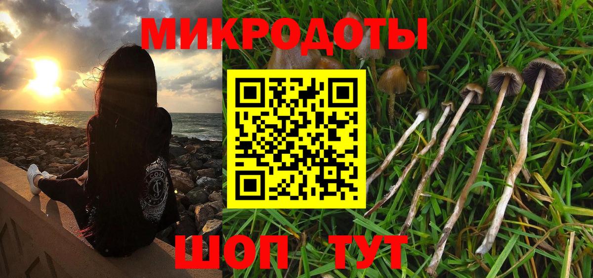 Галлюциногенные грибы Psilocybine cubensis Кисловодск