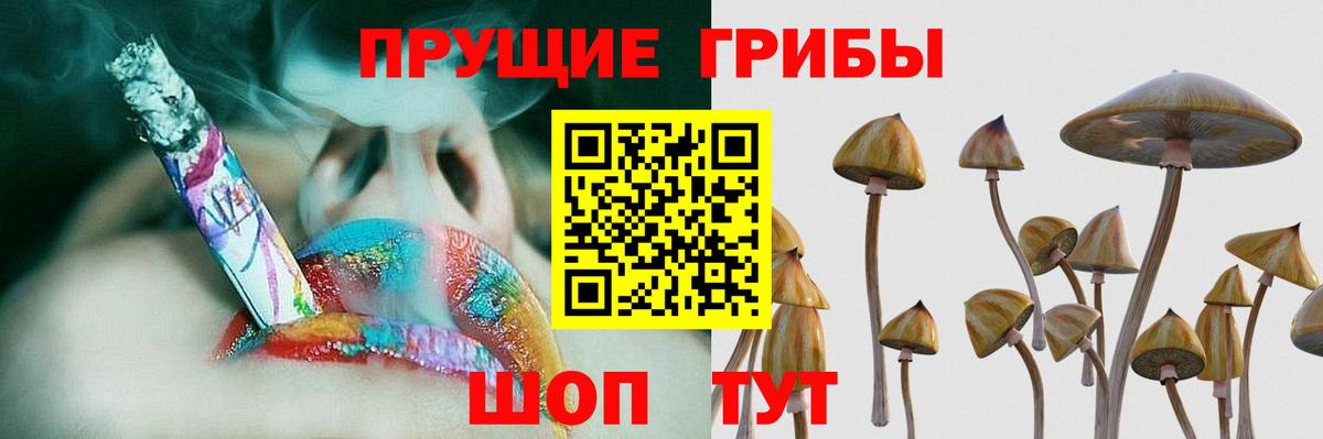 Кисловодск  Галлюциногенные грибы Cubensis  Вход с VPN 